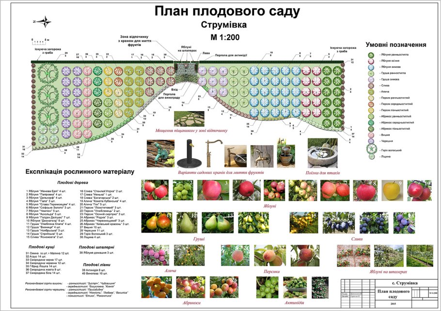 Схема посадки плодового сада
