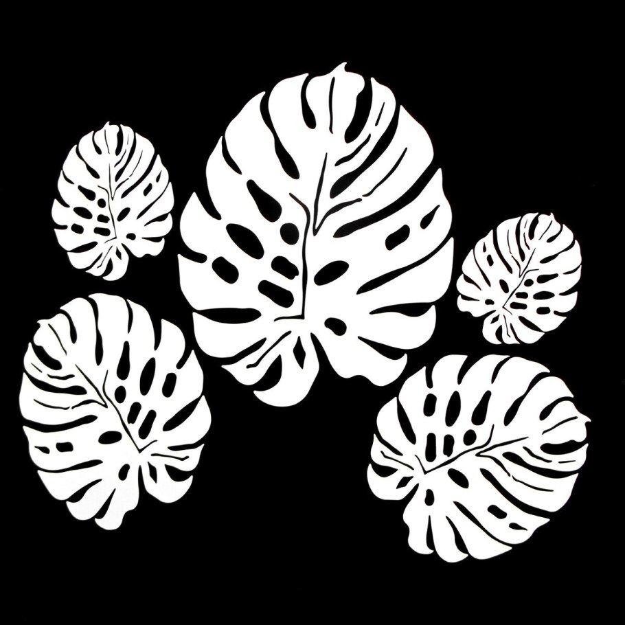 Лист монстеры