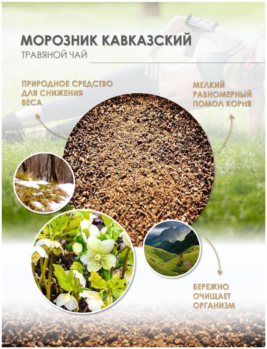 Морозник падуболистный