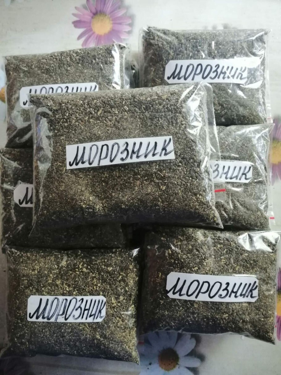 Морозник кавказский