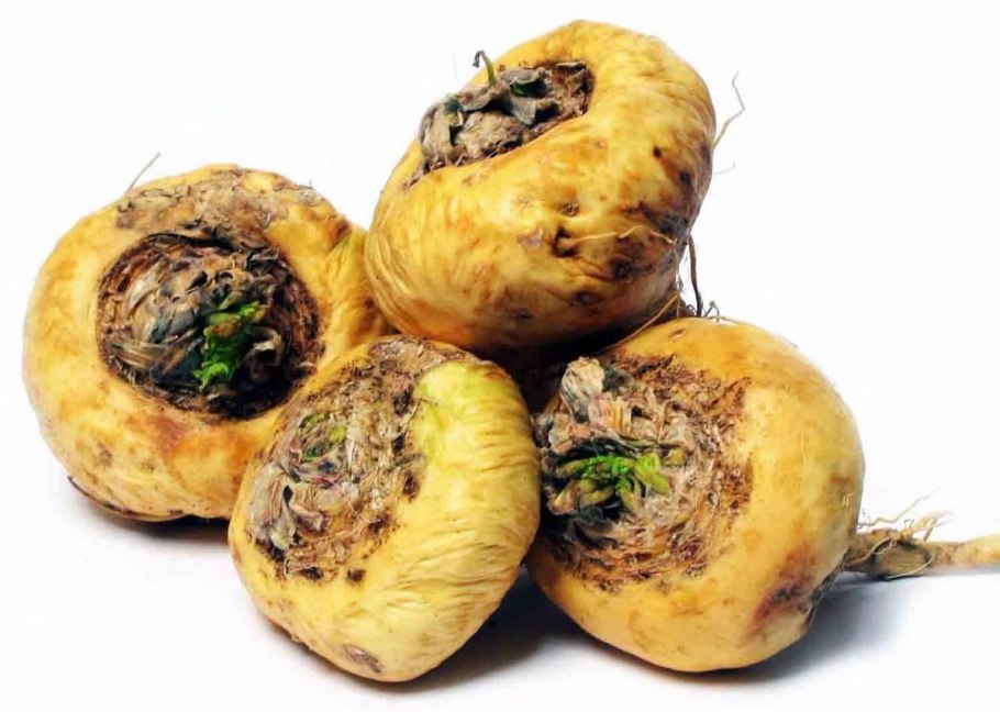 Млечный сок мака