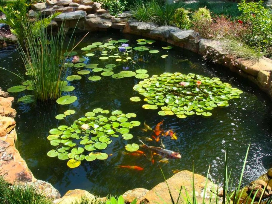 Прудик для нимфей
