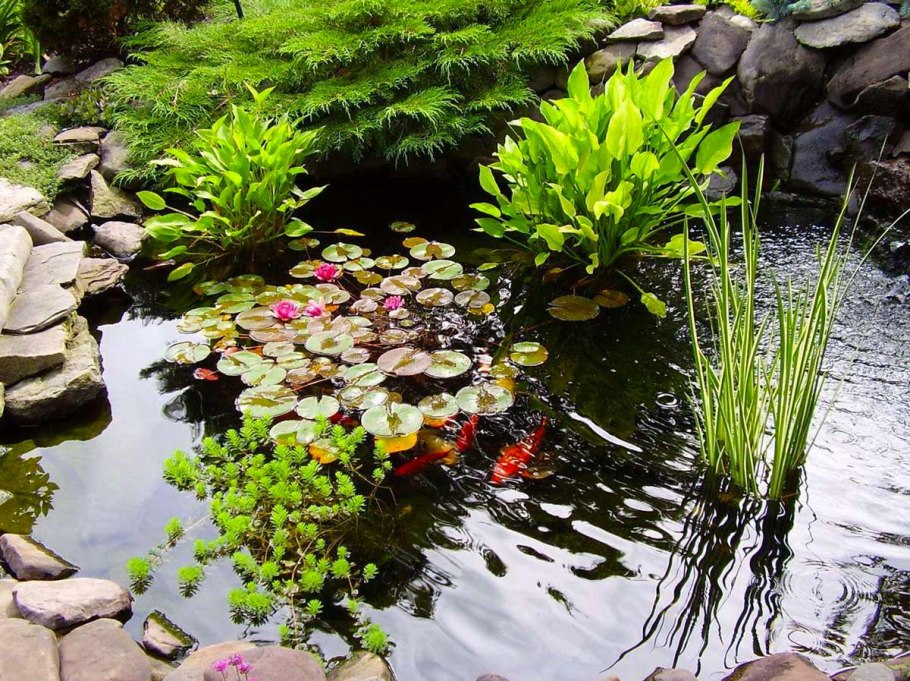 Декоративный водоем