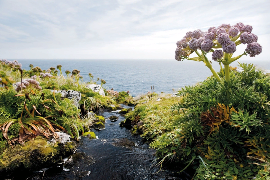 Брошюра заповедника Нургуш