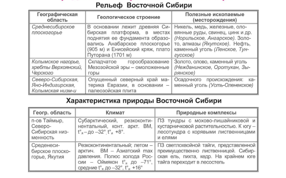 Ягоды в лесу брусника