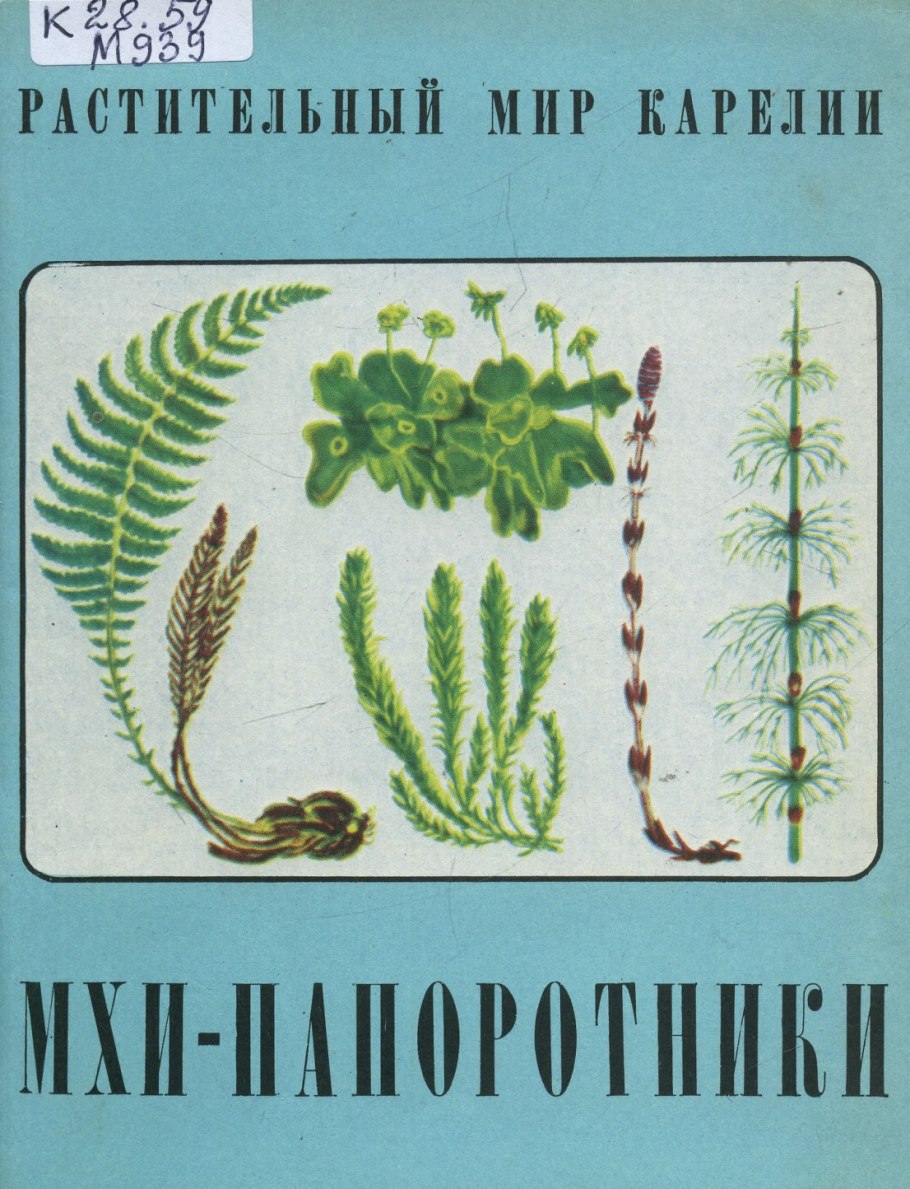 Баргузинский заповедник мхи