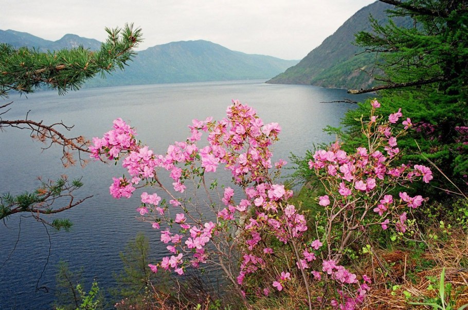 Горы Дуссе-Алинь Хабаровского края