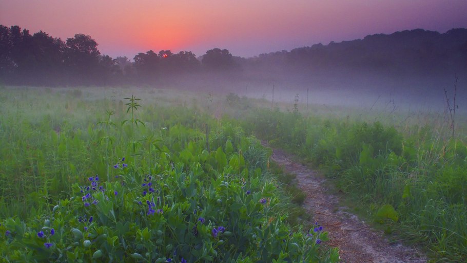 Природа поле