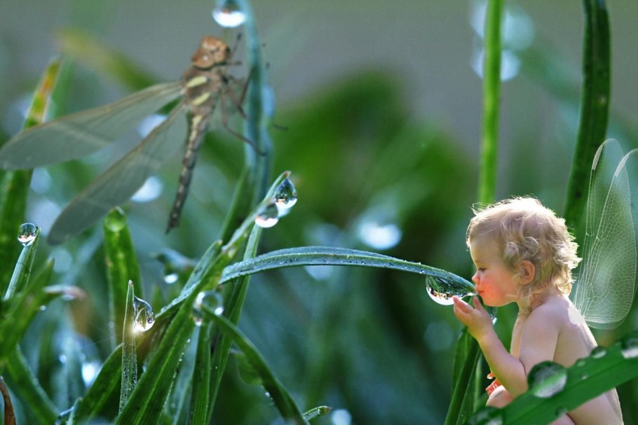 Цветущий луг