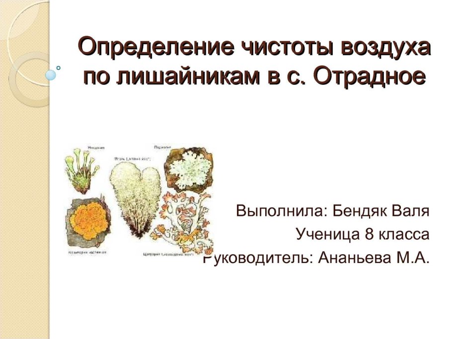 Лишайники очень требовательны к чистоте воздуха