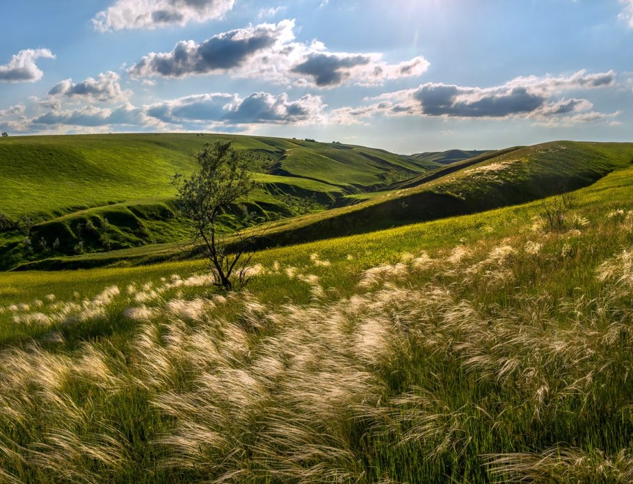 Балка второй Лог Ставрополь