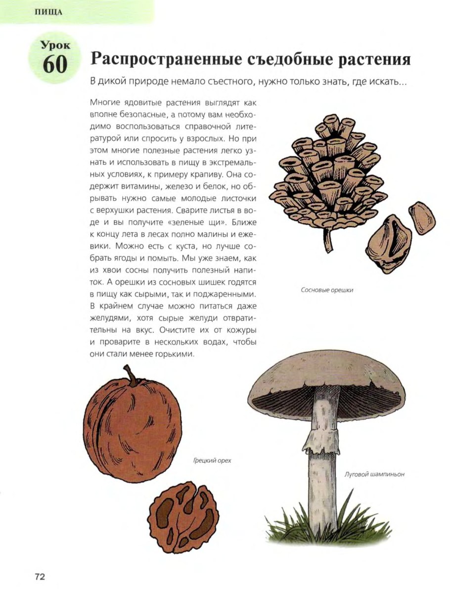 Косвенные признаки съедобных растений