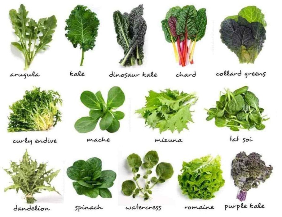 Перец семейство пасленовых