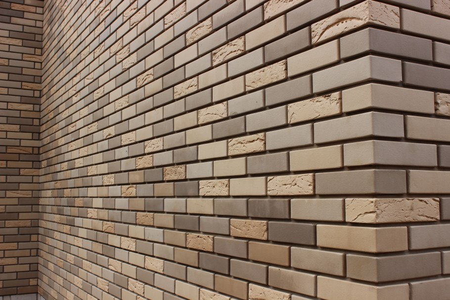 Мокрая кора дуба текстура