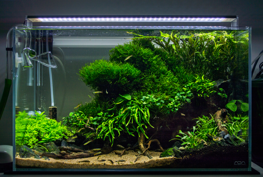 Аквариум травник 60 литров