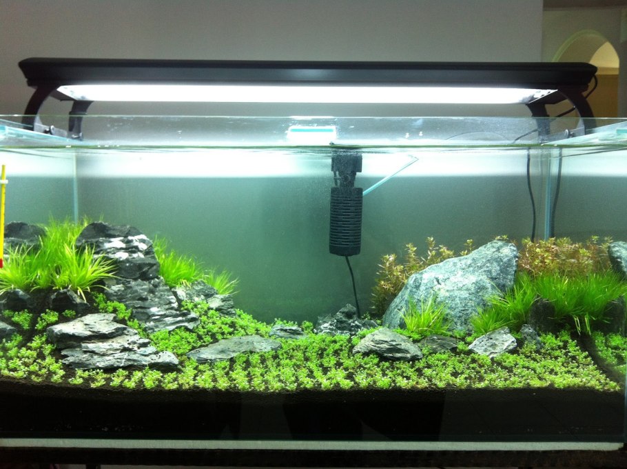 Расположение аквариума