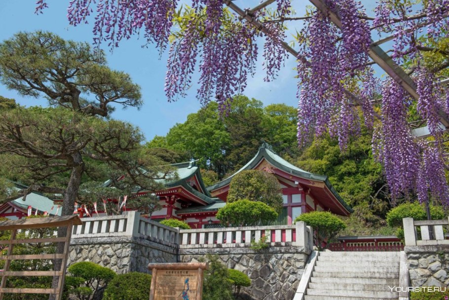 Парк Асикага Япония