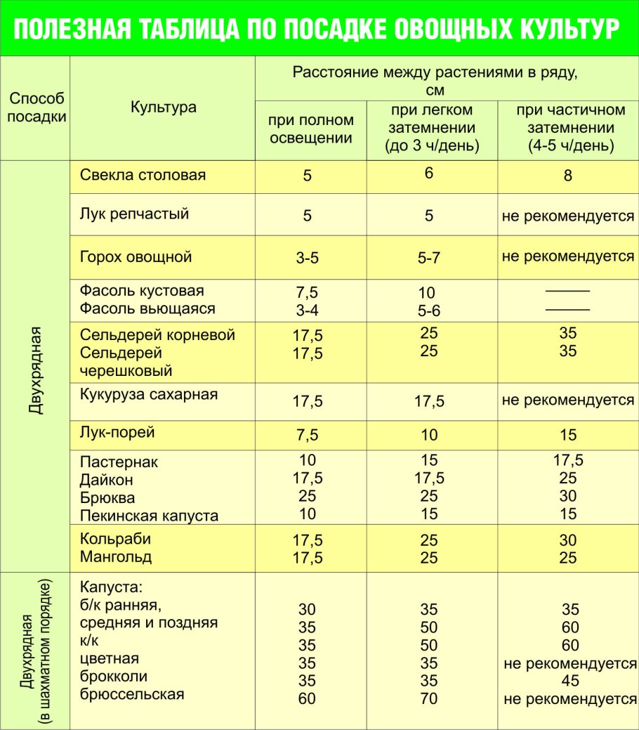 Окучивать лук или нет