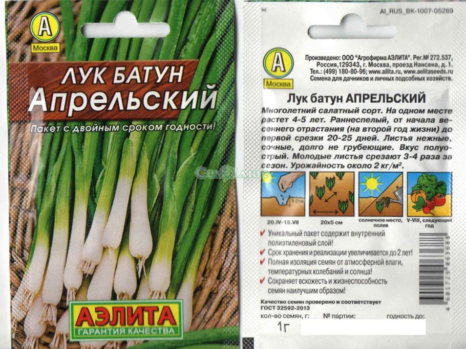 Лук через рассаду Эксибишен