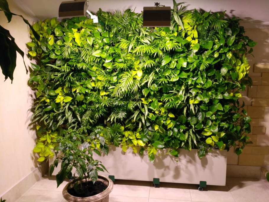 Фитостена из искусственных растений