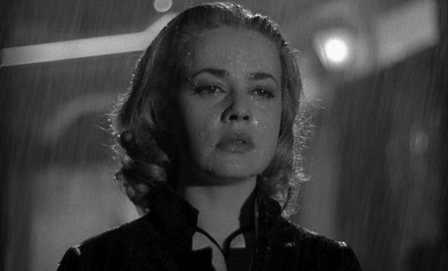 Роза Джексон Перкинс