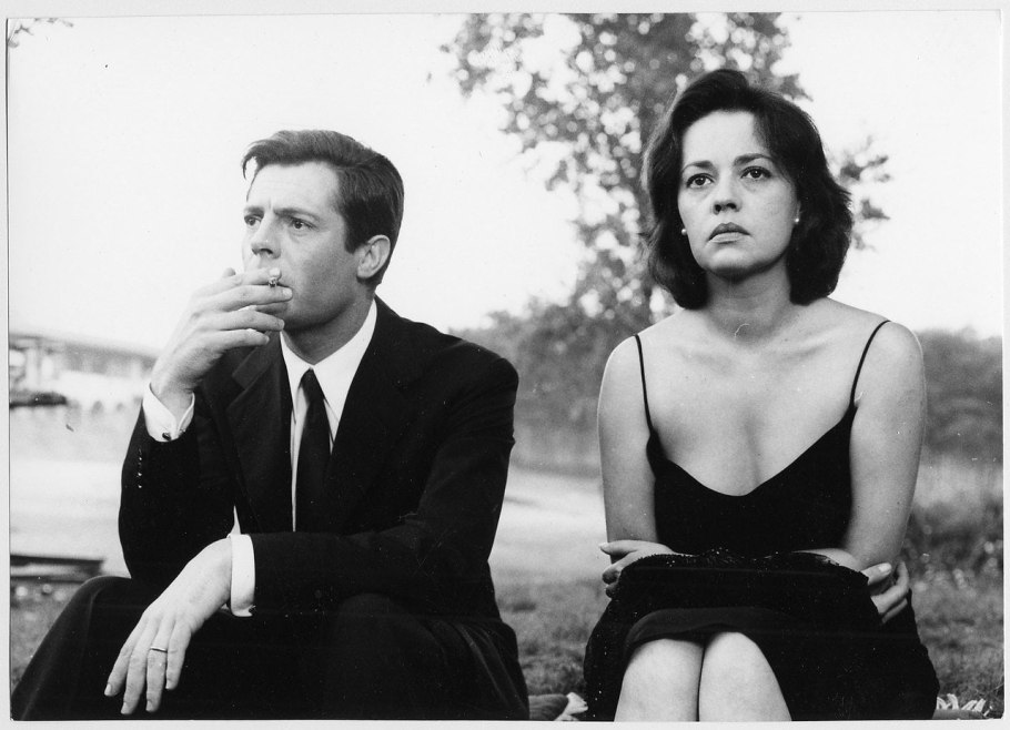 Роза Моховая Blanche Moreau