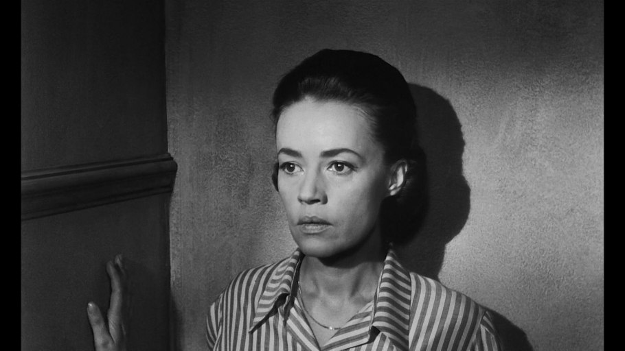 Шраб Винчестер Кафедрал