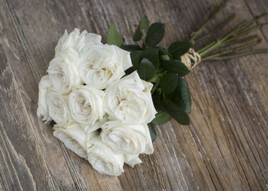 Айвоии в Пьяже саду роза