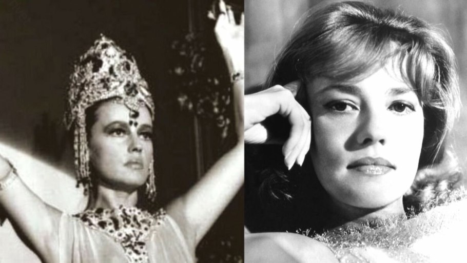 Роза чайно-гибридная Chandos Beauty