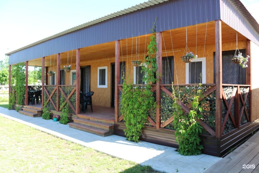 Фирма цветок клевера