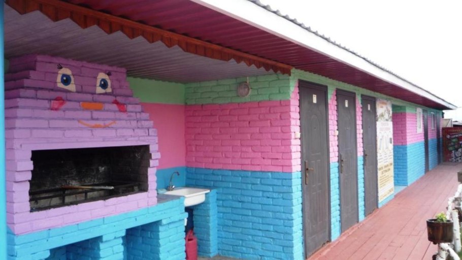 Клевер Пашенный семена