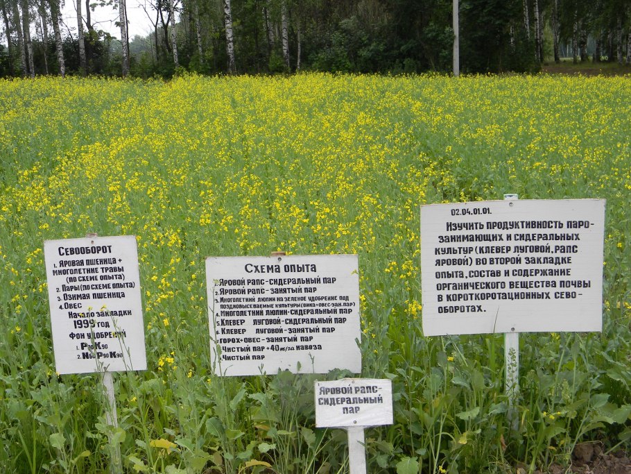 Бухта удачи щекулдук Кулунда