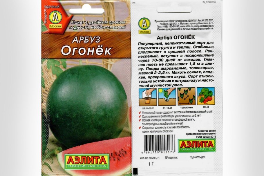 Раннеспелый сорт Арбуз огонёк