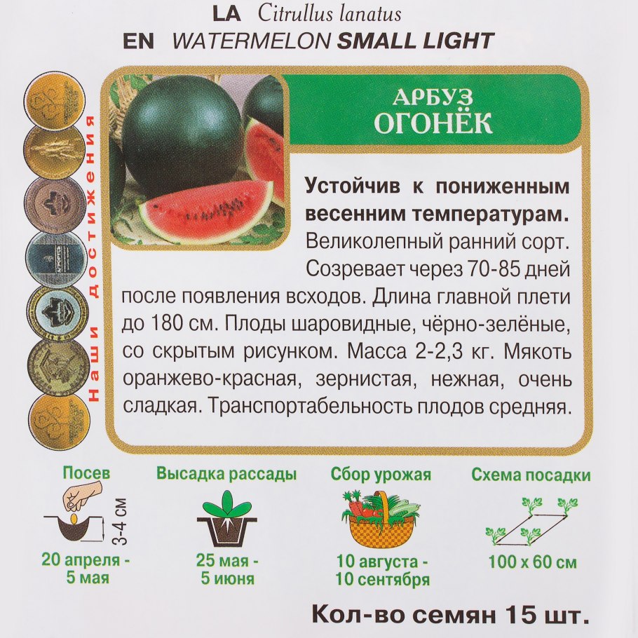 Арбуз сорт огонек