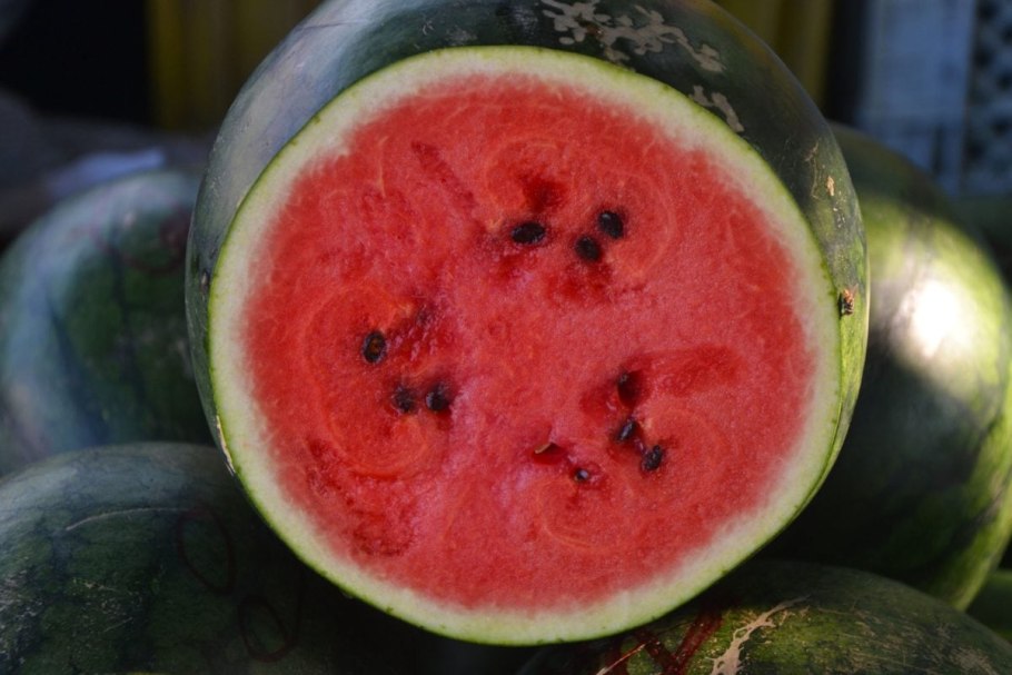 Семена Арбуз "огонек", 1 г