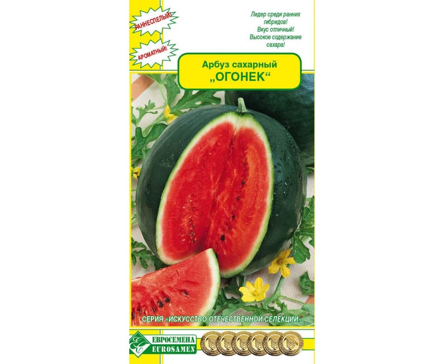 Гавриш Арбуз огонёк