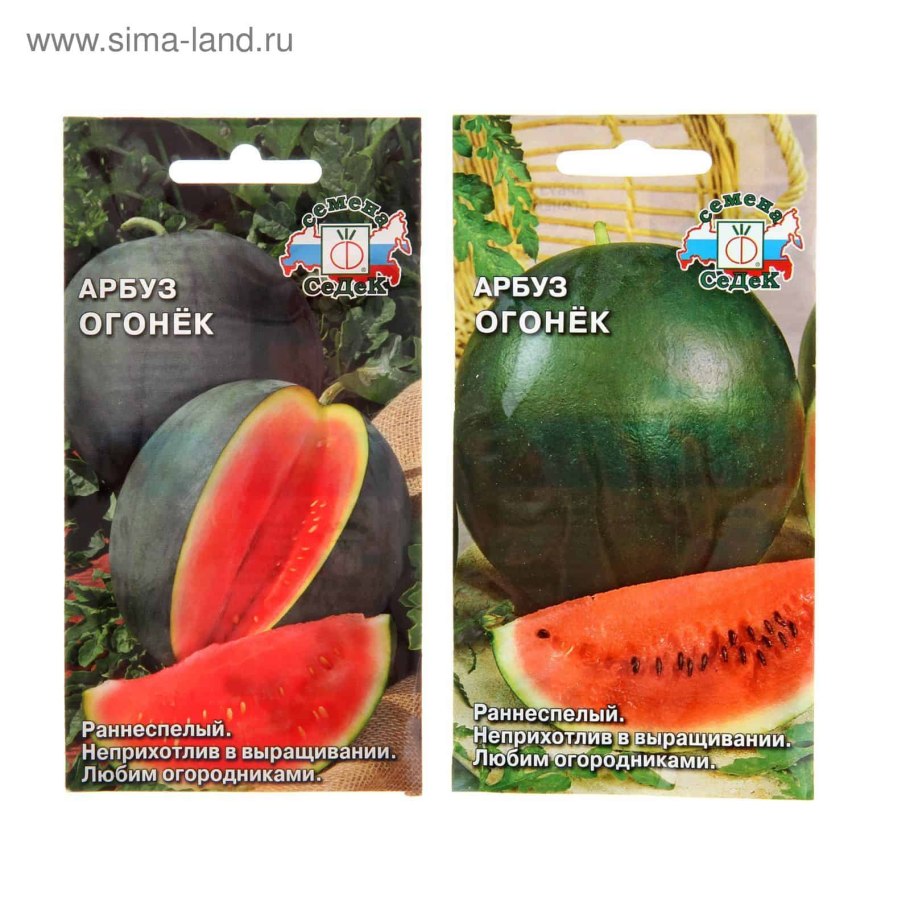 Арбуз огонек описание сорта