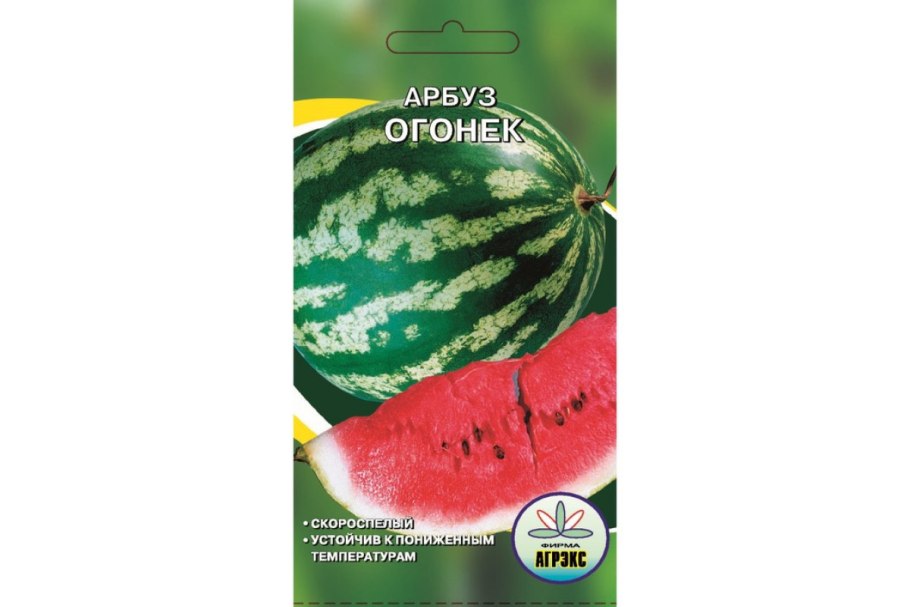 Арбуз огонек, семена Алтая, 1гр.