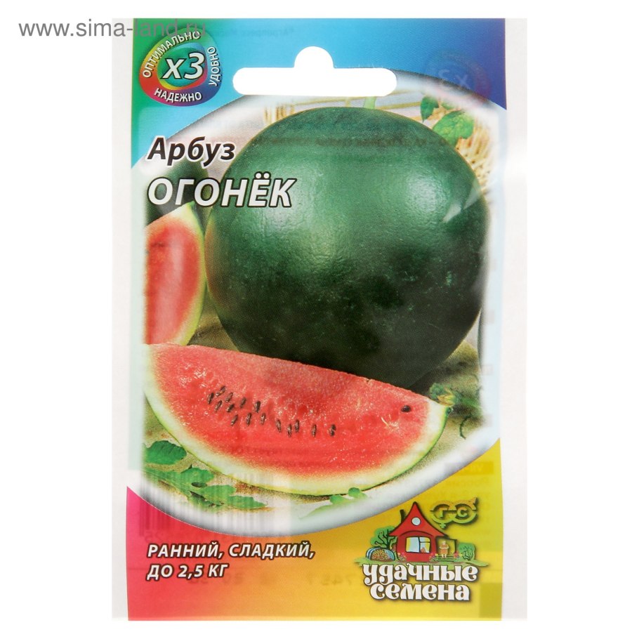 Арбуз огонек Евросемена