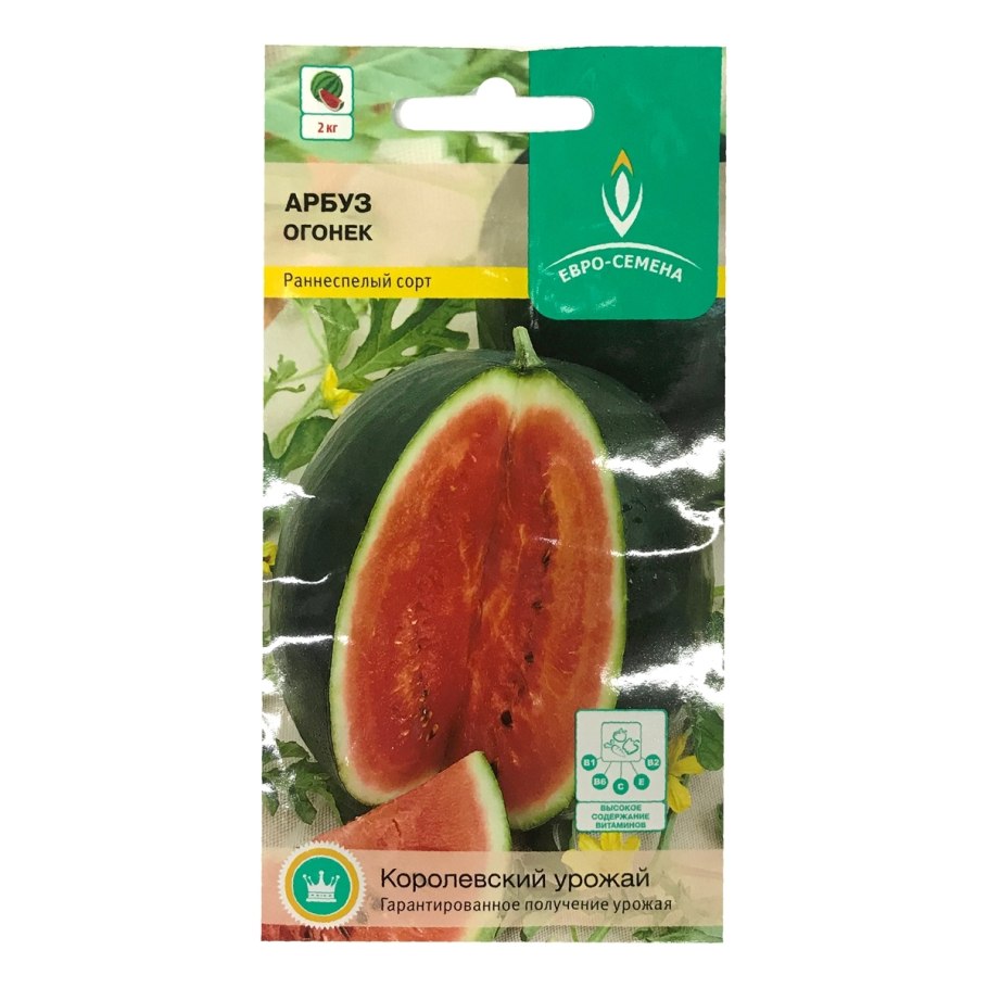 Арбуз семена арбуза огонек 1 г