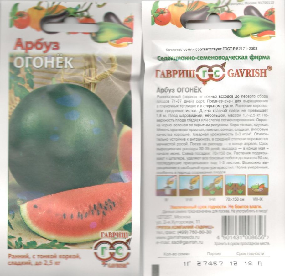 Гавриш арбуз огонёк