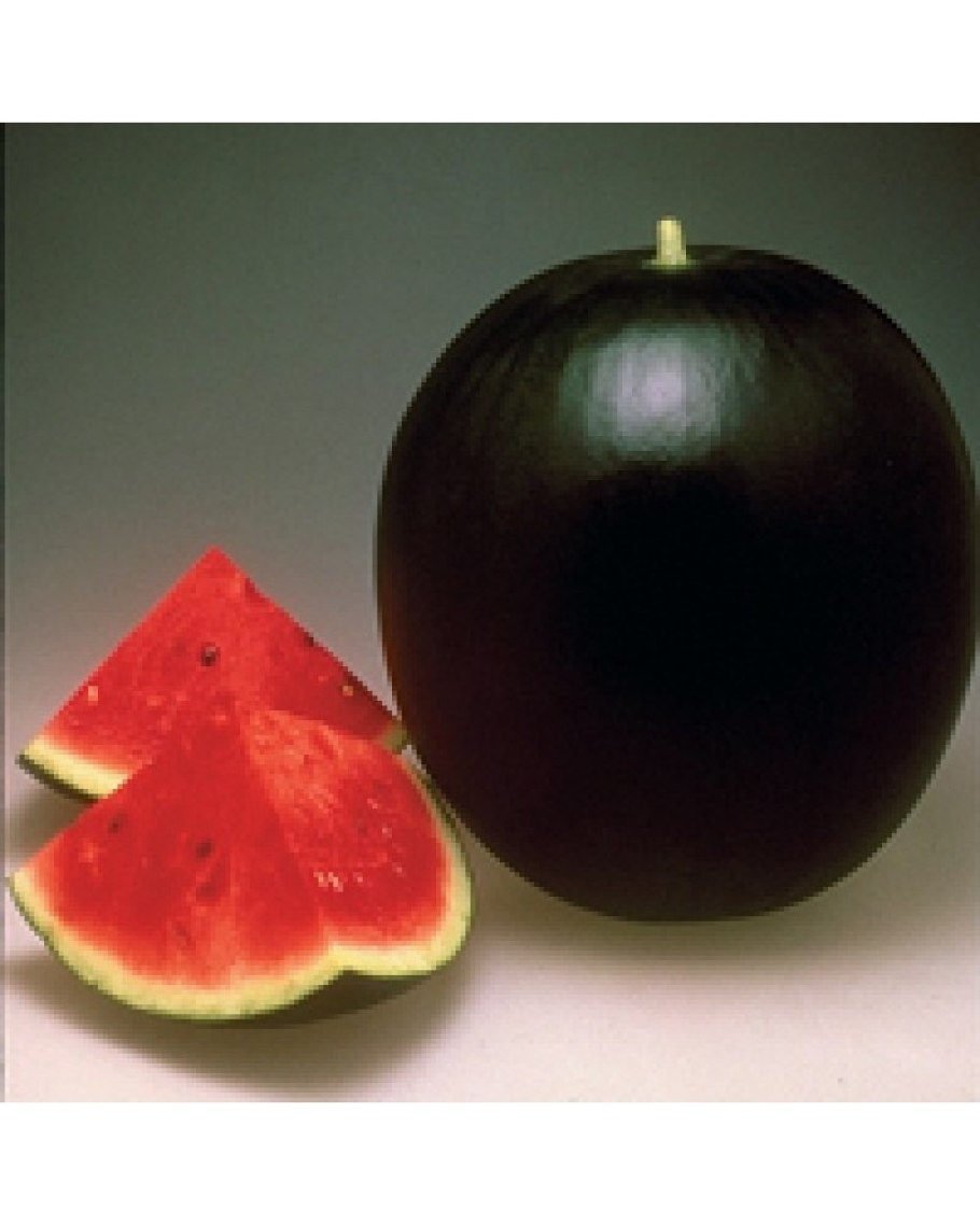 Арбуз Гавриш