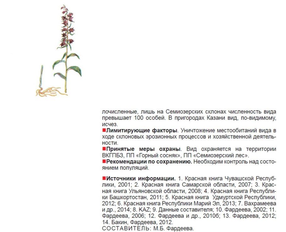Дремлик темно-красный красная книга