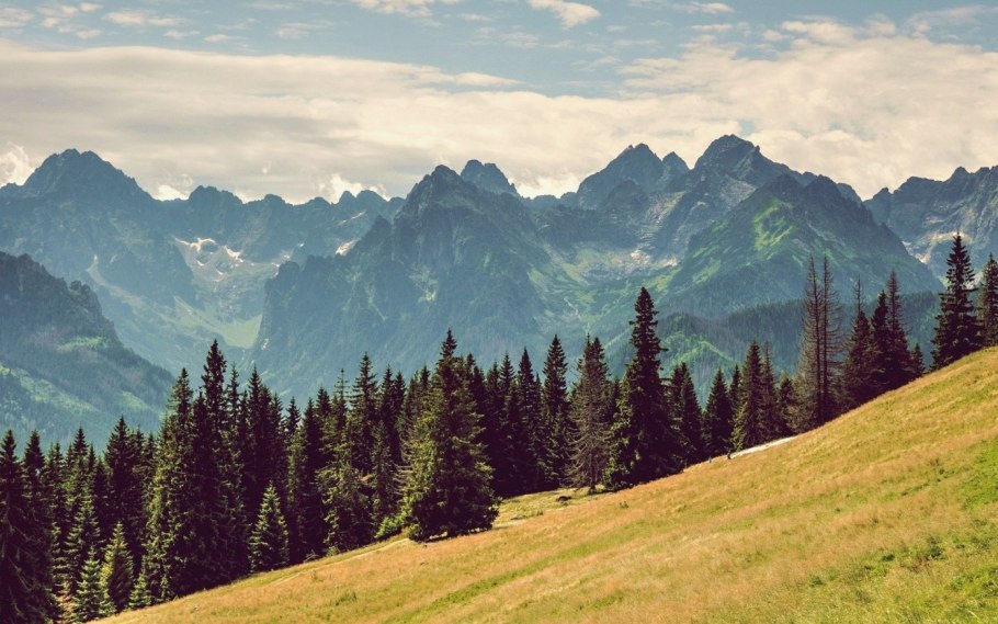 Лето горы река Тайга Сибирь