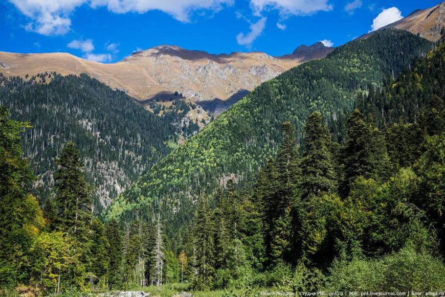 Национальный парк Йосемити в тумане