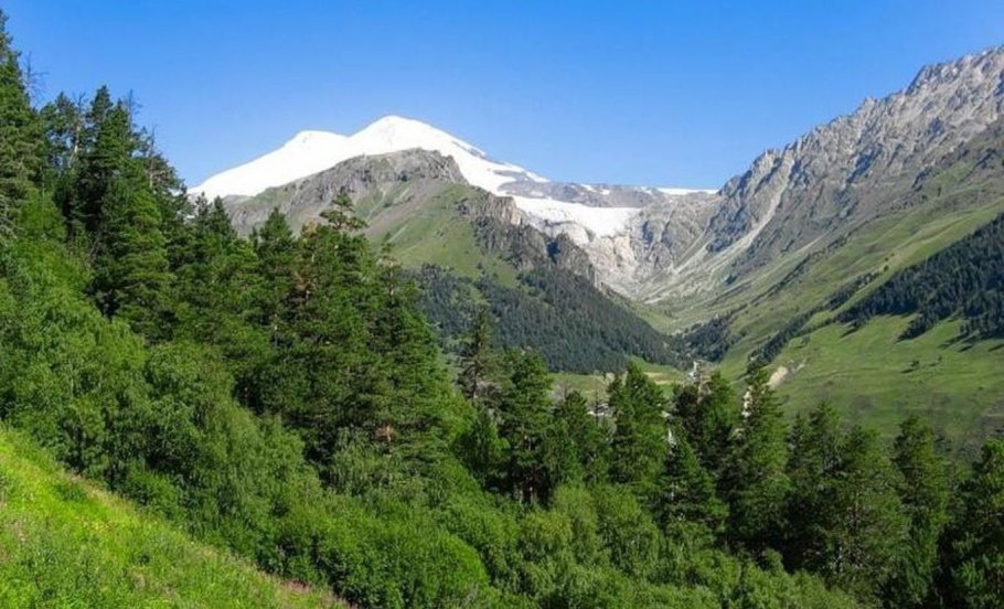 Кавказский биосферный заповедник лес