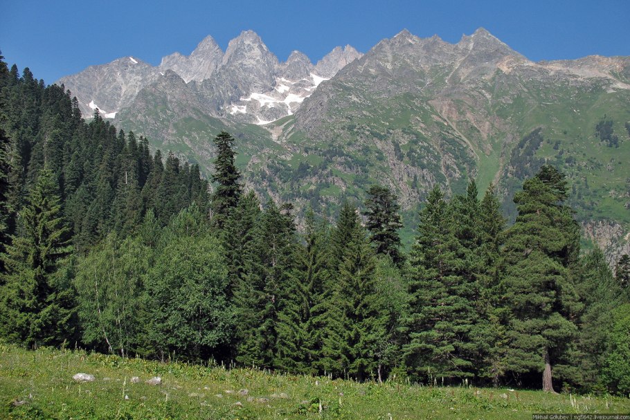 Леса Кабардино-Балкарской Республики