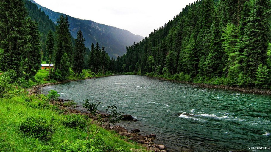 Евразия природа