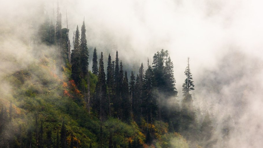 Южный Шварцвальд озеро