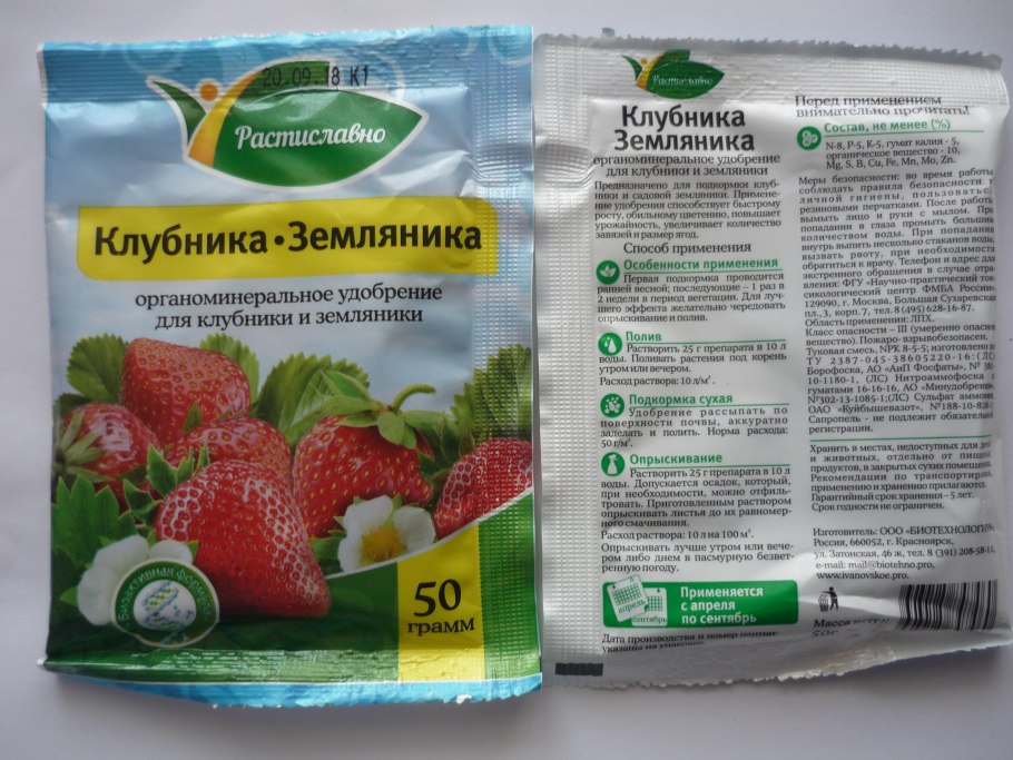 Лесная земляника в огороде